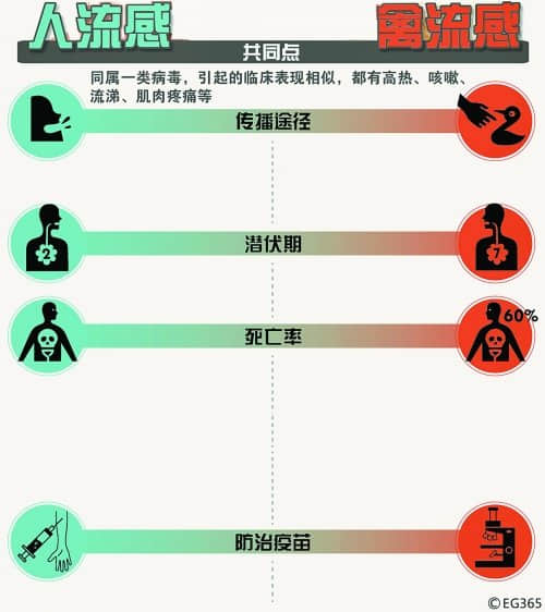 河南未发现H7N9禽流感病例 禽流感未现人际传播