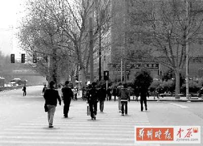 郑州正在研究处罚行人闯红灯 市民建议狠狠罚