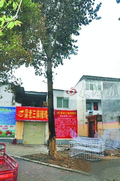 驻马店无牌宝马撞树致5死1伤 初步确认司机醉驾