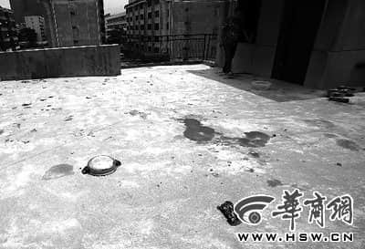 商丘男孩暑假看望父母坠亡 目击者称被藏獒攻击