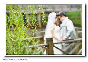 大学生偷食禁果结婚 休学生子后重读大四(图)
